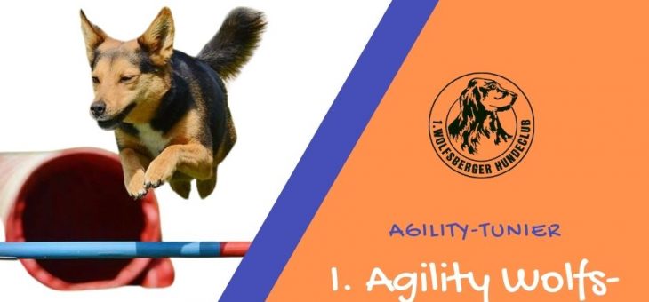 1. Agility Wolfs-Challenge